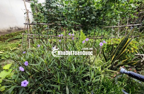  BÁN ĐẤT VĨNH TRUNG – GẦN HỒ – NGÕ NÔNG – GIÁ TỐT! HƠN 3 TỶ